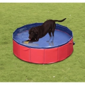Piscina plegable para mascotas 160 cm