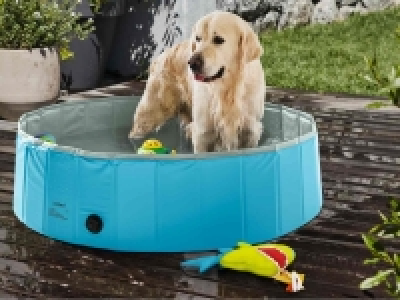 Piscina para perros 29.99 €