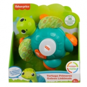 Toysrus  Fisher Price - Tortuga Primeros Gateos Linkimals