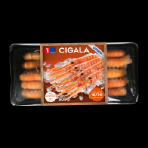 Cigala grande 23.99 €