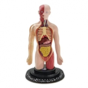 Micro Planet - Cuerpo humano 39.99 €