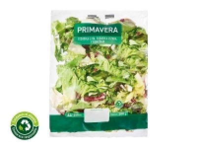 Ensalada primavera 0.65 €