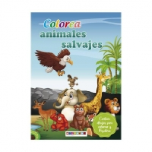 Libro Colorea (varios modelos)