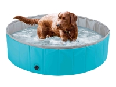 Lidl  Piscina para perros