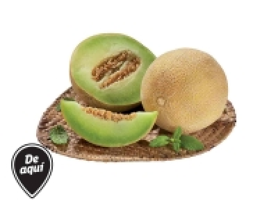 Melón Galia