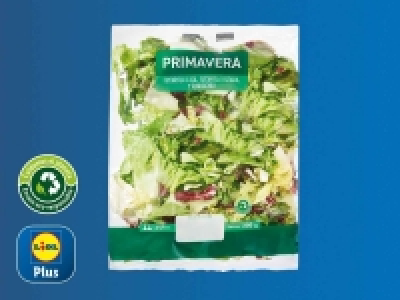 Ensalada primavera 0.69 €