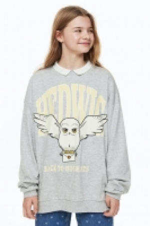 Sudadera oversize estampada 6.99 €