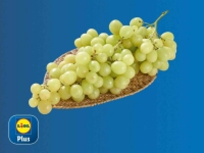 Uva blanca