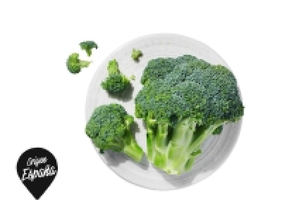 Brócoli