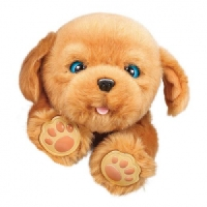 Toysrus  Little Live Pets - Sleepy Puppy