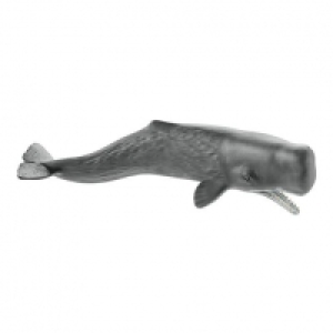 Schleich - Cachalote 11.99 €