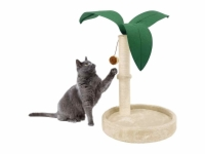 Rascador de palmera