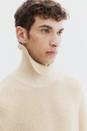 Jersey de cuello alto Regular Fit 21.99 €