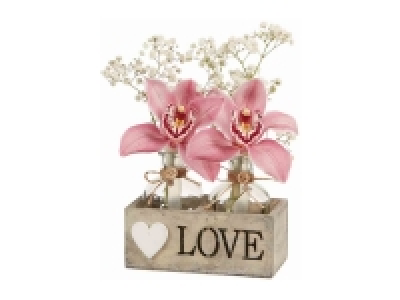 Arreglo +B372 orquídeas