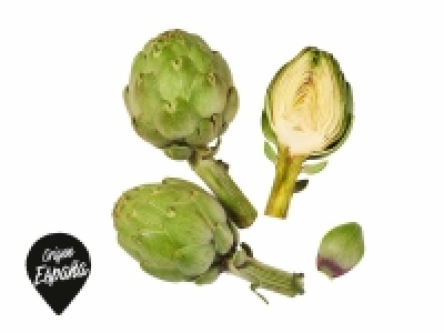 Alcachofa