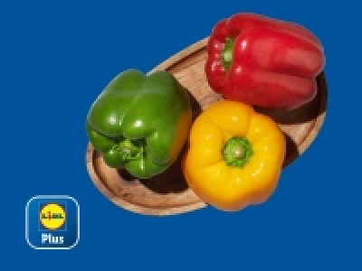 Lidl  Pimiento tricolor