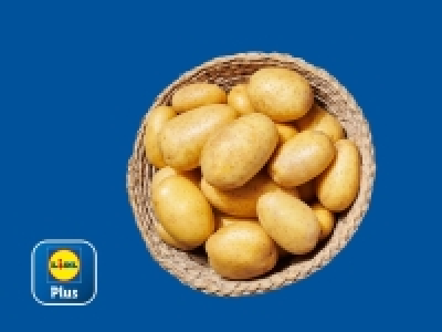 Lidl  Patata 5 kg