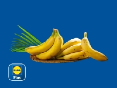 Lidl  Plátano canario