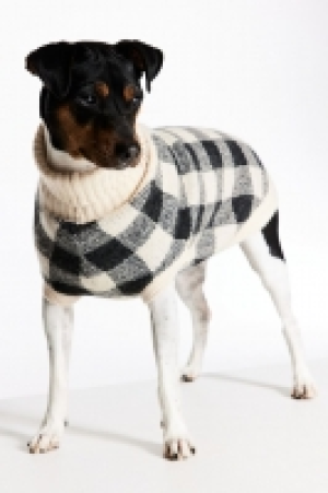 Jersey en jacquard para perro