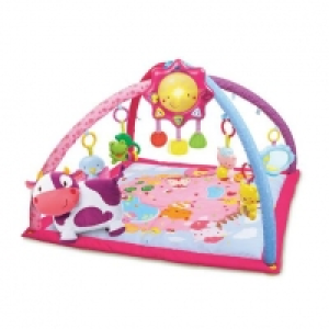 Toysrus  Vtech - Manta y Gimnasio Cantarin 2 en 1 Rosa