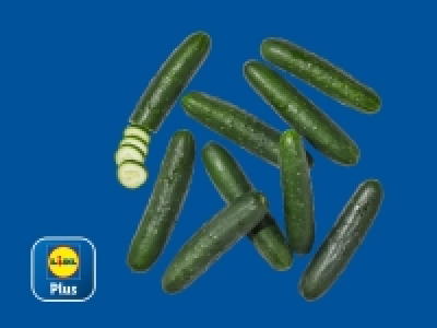 Lidl  Pepino