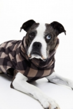 Jersey polar para perro