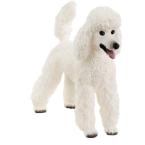 Schleich - Caniche