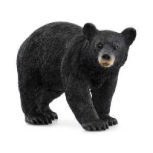 Schleich - Oso negro Vida Salvaje ㅤ
