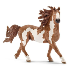 Schleich - Semental Pinto