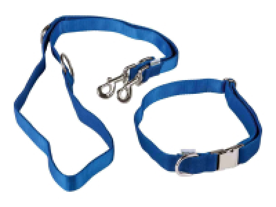 Collar con correa para perro 4.99 €