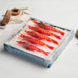 LaSirena  Gamba roja grande Premium
