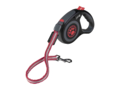 Correa extensible con LEDs 9.99 €