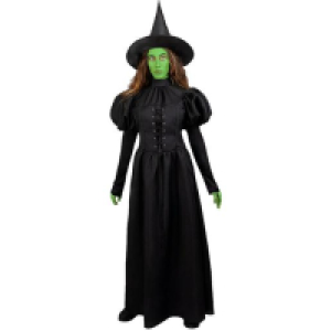 Disfraz de Bruja Mala del Oeste - El Mago de Oz XL 44.99 €