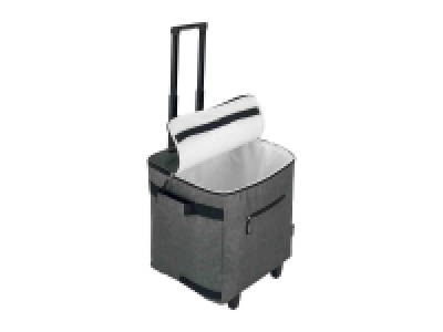 Carro de compra con función de refrigeración 14.99 €