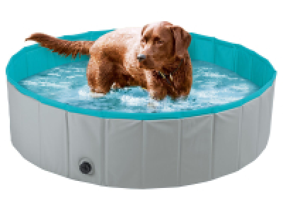 Piscina para perros